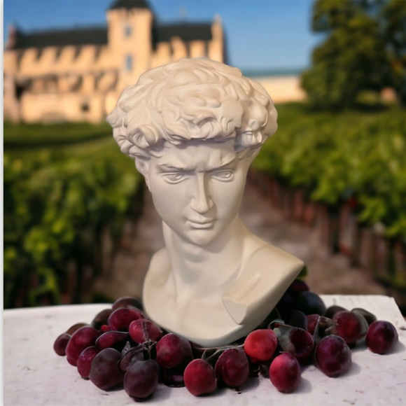 Michelangelo's David Bust - Picture 5 of 16